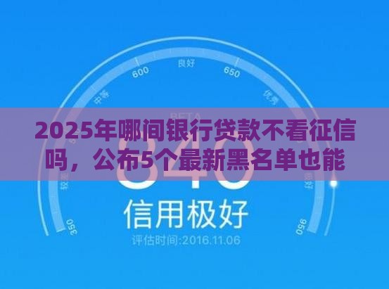 2025年哪间银行贷款不看征信吗，公布5个最新黑名单也能贷款的平台
