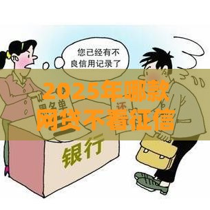 2025年哪款网贷不看征信记录，试试这五个最新靠谱的贷款平台排行榜