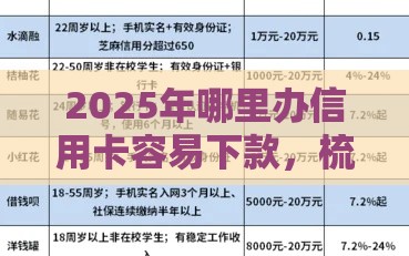 2025年哪里办信用卡容易下款，梳理5个最新2025花户借钱的平台100%能借到