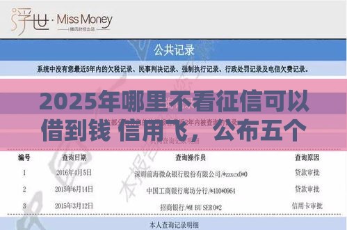 2025年哪里不看征信可以借到钱 信用飞，公布五个最新借款平台容易借钱