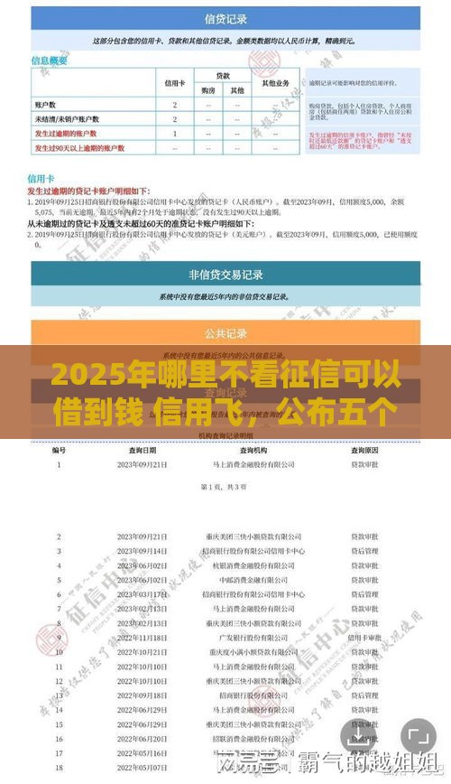 2025年哪里不看征信可以借到钱 信用飞，公布五个最新借款平台容易借钱