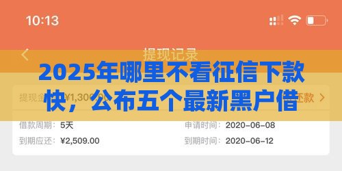 2025年哪里不看征信下款快，公布五个最新黑户借款平台