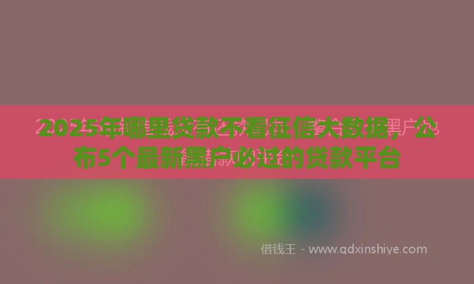 2025年哪里贷款不看征信大数据，公布5个最新黑户必过的贷款平台