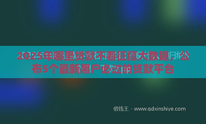 2025年哪里贷款不看征信大数据，公布5个最新黑户必过的贷款平台