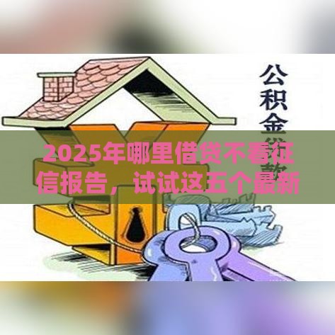 2025年哪里借贷不看征信报告，试试这五个最新无抵押贷款平台