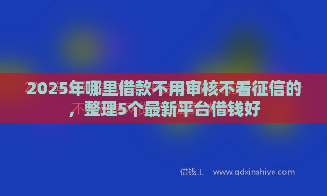 2025年哪里借款不用审核不看征信的，整理5个最新平台借钱好
