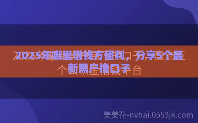 2025年哪里借钱方便利，分享5个最新黑户撸口子