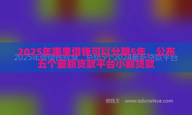 2025年哪里借钱可以分期5年，公布五个最新贷款平台小额贷款