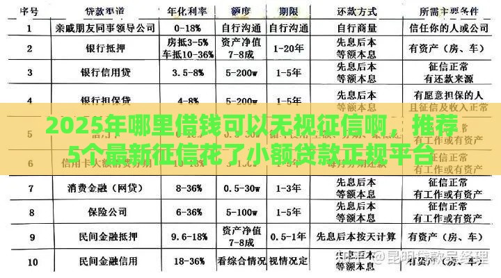 2025年哪里借钱可以无视征信啊，推荐5个最新征信花了小额贷款正规平台