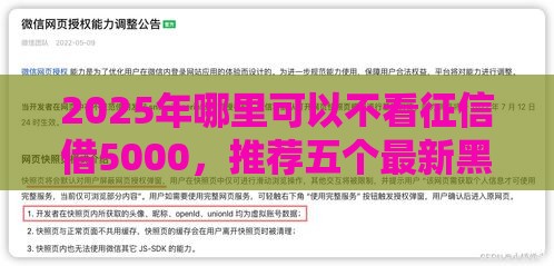 2025年哪里可以不看征信借5000，推荐五个最新黑户花户能秒下款的平台