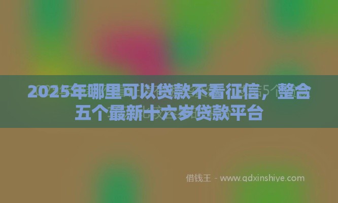 2025年哪里可以贷款不看征信，整合五个最新十六岁贷款平台