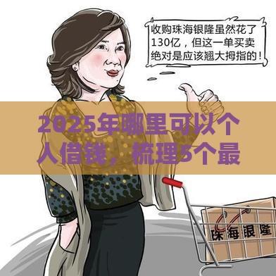 2025年哪里可以个人借钱，梳理5个最新京东贷款平台