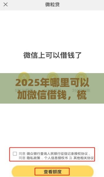 2025年哪里可以加微信借钱，梳理5个最新贷款平台借钱容易又正规