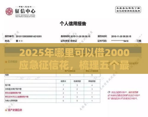 2025年哪里可以借2000应急征信花，梳理五个最新黑户可以贷款的口子