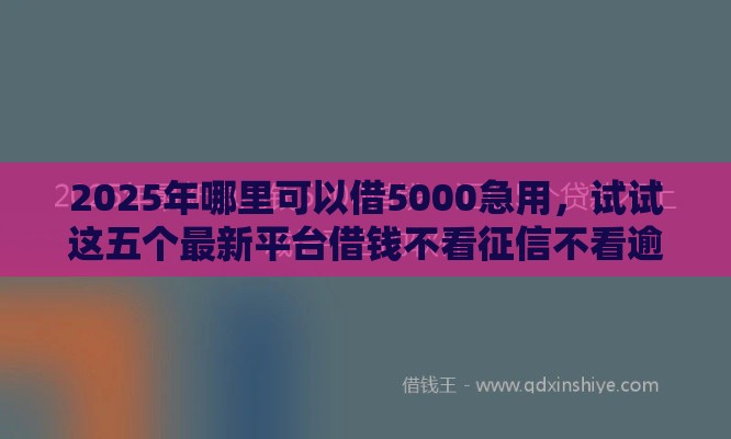 2025年哪里可以借5000急用，试试这五个最新平台借钱不看征信不看逾期,不看欠款
