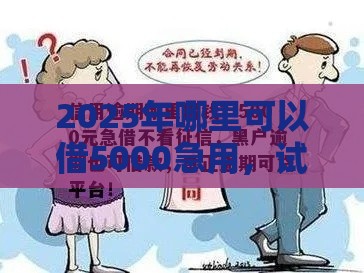 2025年哪里可以借5000急用，试试这五个最新平台借钱不看征信不看逾期,不看欠款