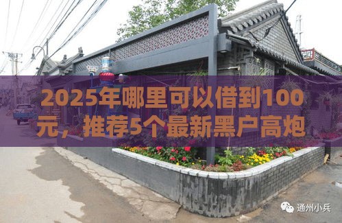 2025年哪里可以借到100元，推荐5个最新黑户高炮口子
