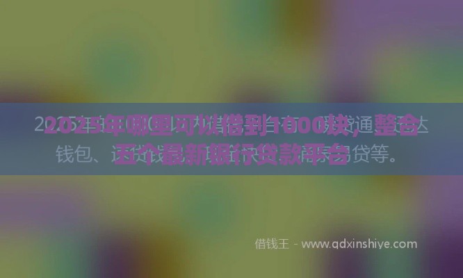 2025年哪里可以借到1000块，整合五个最新银行贷款平台