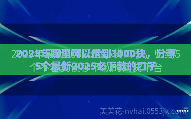 2025年哪里可以借到3000块，分享5个最新2025必下款的口子