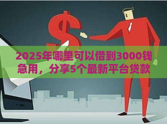 2025年哪里可以借到3000钱急用，分享5个最新平台贷款被骗了怎么办