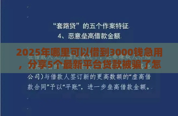 2025年哪里可以借到3000钱急用，分享5个最新平台贷款被骗了怎么办