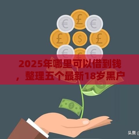 2025年哪里可以借到钱，整理五个最新18岁黑户贷款平台