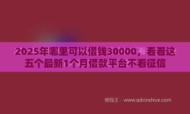 2025年哪里可以借钱30000，看看这五个最新1个月借款平台不看征信