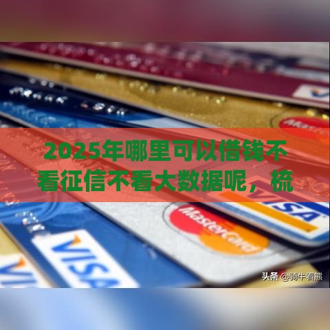 2025年哪里可以借钱不看征信不看大数据呢，梳理5个最新网贷平台app