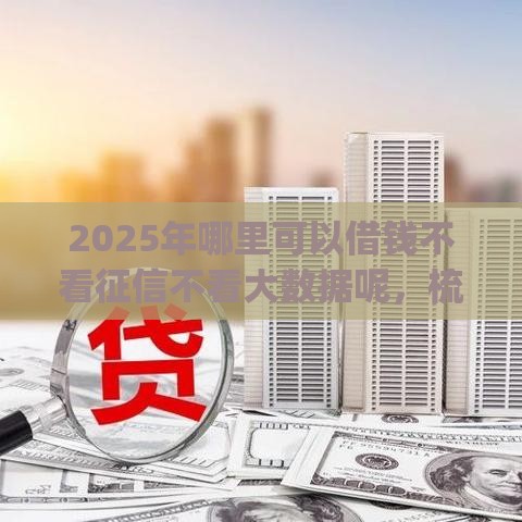 2025年哪里可以借钱不看征信不看大数据呢，梳理5个最新网贷平台app
