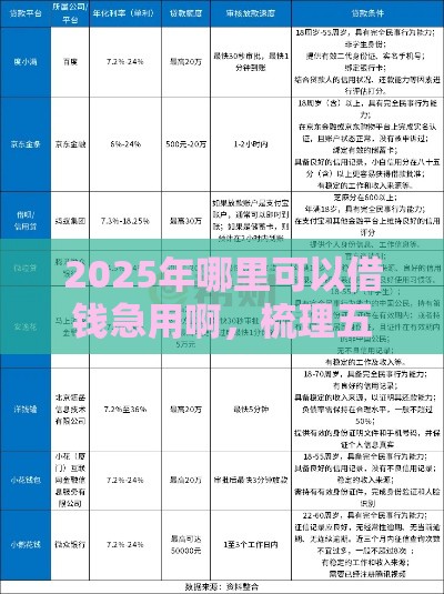 2025年哪里可以借钱急用啊，梳理五个最新简单的贷款平台