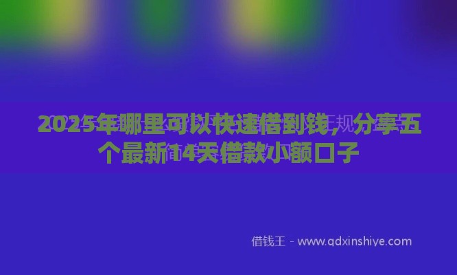 2025年哪里可以快速借到钱，分享五个最新14天借款小额口子