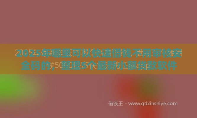 2025年哪里可以快速借钱不用审核安全码的,整理5个最新小额贷款软件 2025年哪里可以快速借钱不用审核安全码的,整理5个最新小额贷款软件