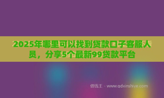 2025年哪里可以找到贷款口子客服人员，分享5个最新99贷款平台