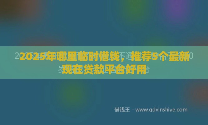 2025年哪里临时借钱，推荐5个最新现在贷款平台好用
