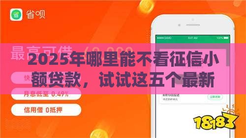 2025年哪里能不看征信小额贷款，试试这五个最新靠谱的借钱平台