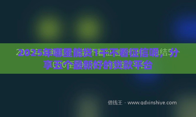 2025年哪里能贷1千不看征信呢，分享五个最新好的贷款平台