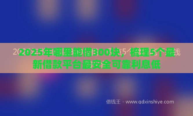 2025年哪里能借300块，梳理5个最新借款平台最安全可靠利息低