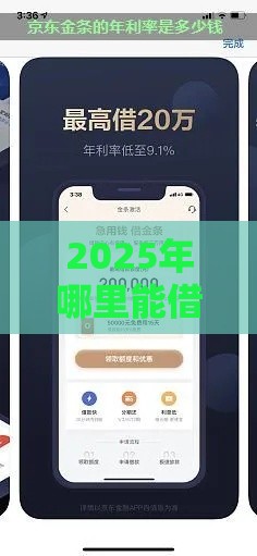 2025年哪里能借20000，试试这5个最新京东贷款平台