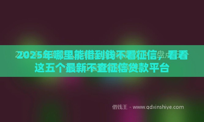 2025年哪里能借到钱不看征信，看看这五个最新不查征信贷款平台