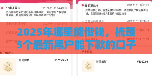 2025年哪里能借钱，梳理5个最新黑户能下款的口子