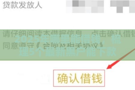 2025年哪里能借钱，梳理5个最新黑户能下款的口子
