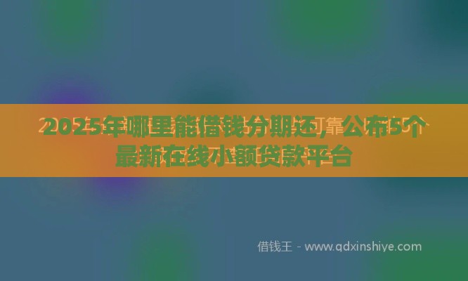 2025年哪里能借钱分期还，公布5个最新在线小额贷款平台