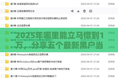 2025年哪里能立马借到1万，分享五个最新黑户当前逾期能下款的口子