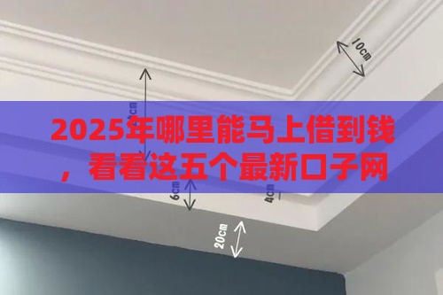 2025年哪里能马上借到钱，看看这五个最新口子网