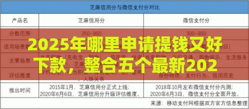 2025年哪里申请提钱又好下款，整合五个最新2025大花户放水秒下款的口子