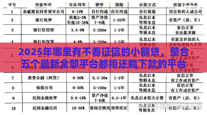 2025年哪里有不看征信的小额贷，整合五个最新全部平台都拒还能下款的平台