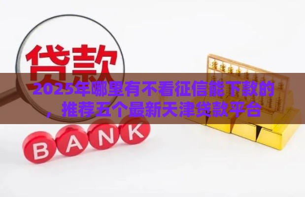 2025年哪里有不看征信能下款的，推荐五个最新天津贷款平台