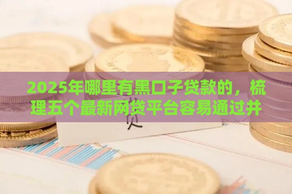 2025年哪里有黑口子贷款的，梳理五个最新网贷平台容易通过并安全借到款