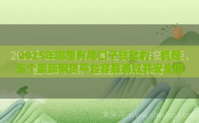 2025年哪里有黑口子贷款的，梳理五个最新网贷平台容易通过并安全借到款