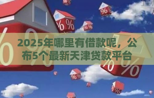 2025年哪里有借款呢，公布5个最新天津贷款平台